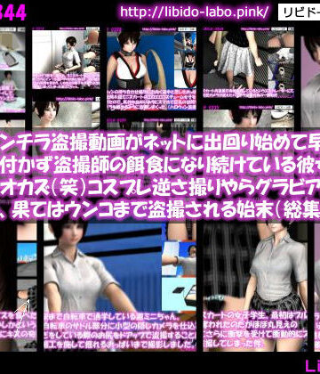 彼女のパンチラ盗撮動画がネットに出回り始めて早3年超。未だに気付かず盗撮師の餌食になり続けている彼女は国宝級のオカズ（笑）コスプレ逆さ撮りやらグラビア動画の流出やら、果てはウンコまで盗撮される始末（総集編Vol.8）