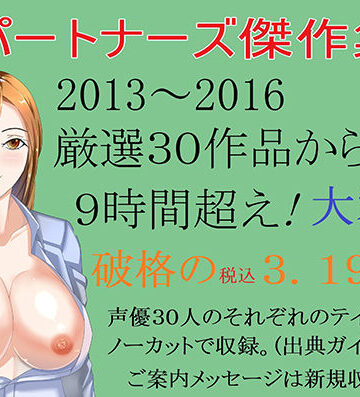 Sパートナーズ傑作集 9時間超・ 税込3，190円