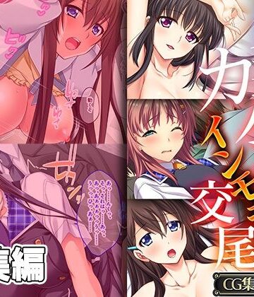 貞淑カノジョのインモラル交尾 〜無防備につけ込んで背徳開発〜【CG集コレクション】