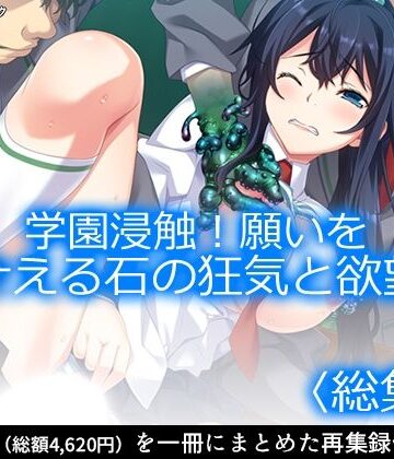 学園浸触！願いを叶える石の狂気と欲望 ＜総集編＞