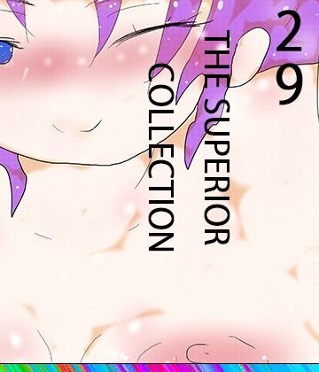 29 THE SUPERIOR COLLECTION