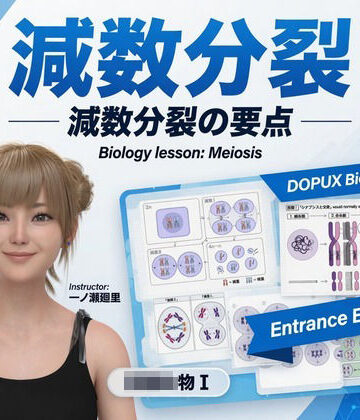 【▲20】一ノ瀬廻里 大学に進学し強豪予備校『DOPUX（ドピュックス』で生物I，IIを教える名物講師に！（Vol.010:減数分裂）