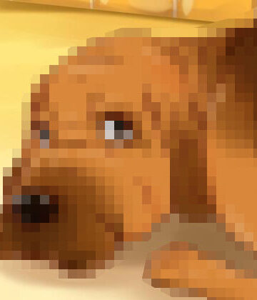ブ○ッドハ○ンド